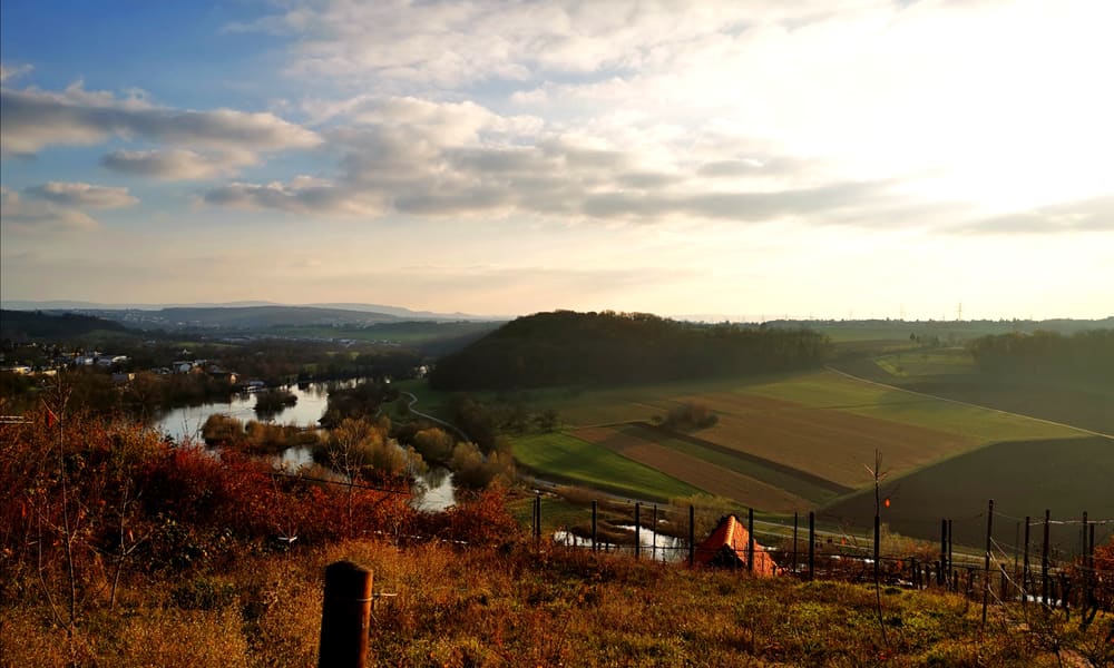 Weinberge bei Ludwigsburg